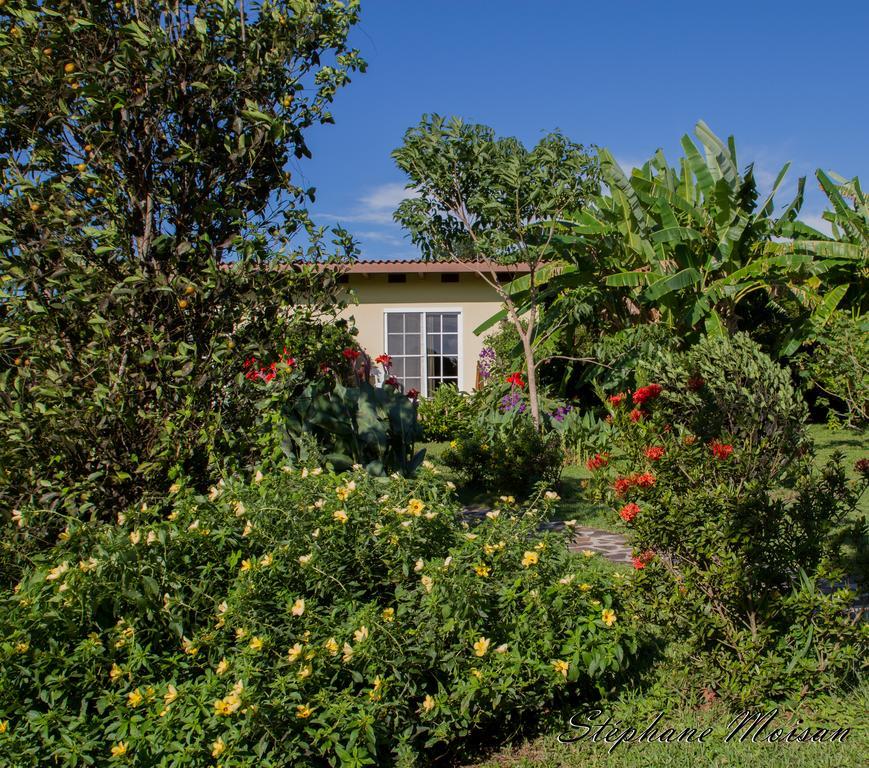 Cabanas Los Colibris San Carlos Habitación foto